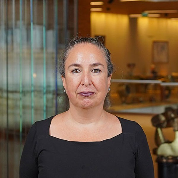 Dr. Öğr. Üyesi Pınar DEMİR